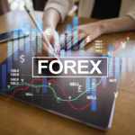 Forex Brokers in the Trading Market