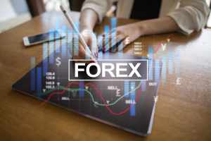 Forex Brokers in the Trading Market