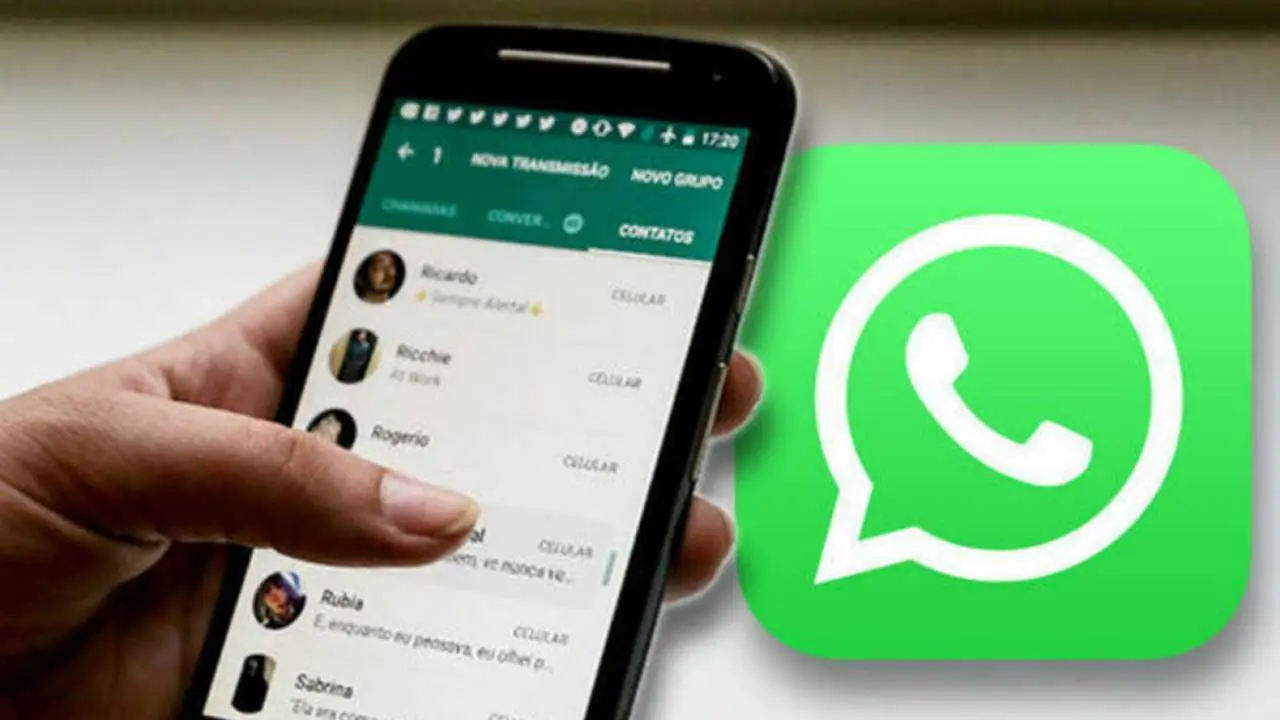 WhatsApp Chat History